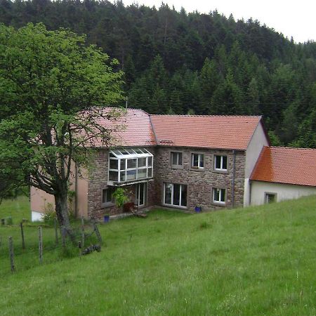 Gite Gretel De La Ferme Du Schneeberg Wangenbourg-Engenthal Εξωτερικό φωτογραφία