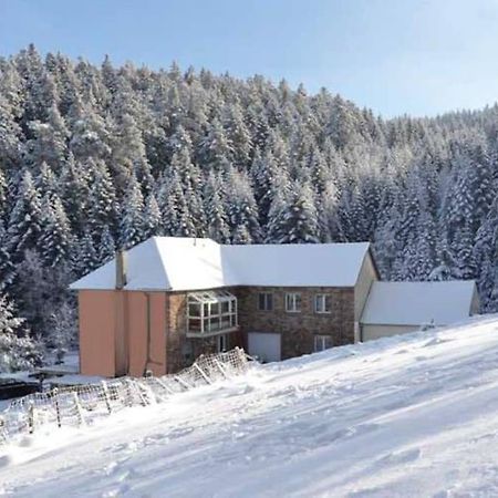 Gite Gretel De La Ferme Du Schneeberg Wangenbourg-Engenthal Εξωτερικό φωτογραφία