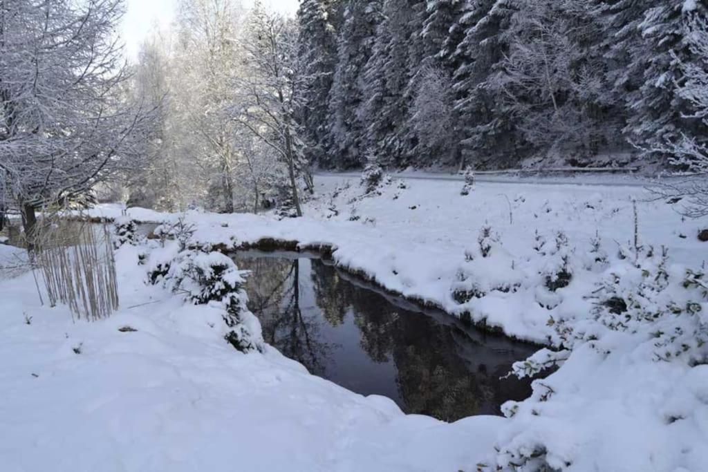 Gite Gretel De La Ferme Du Schneeberg Wangenbourg-Engenthal Εξωτερικό φωτογραφία