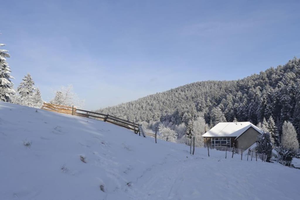 Gite Gretel De La Ferme Du Schneeberg Wangenbourg-Engenthal Εξωτερικό φωτογραφία