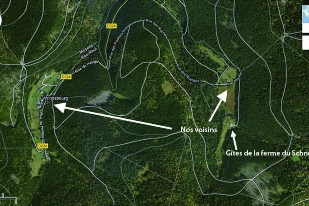 Gite Gretel De La Ferme Du Schneeberg Wangenbourg-Engenthal Εξωτερικό φωτογραφία